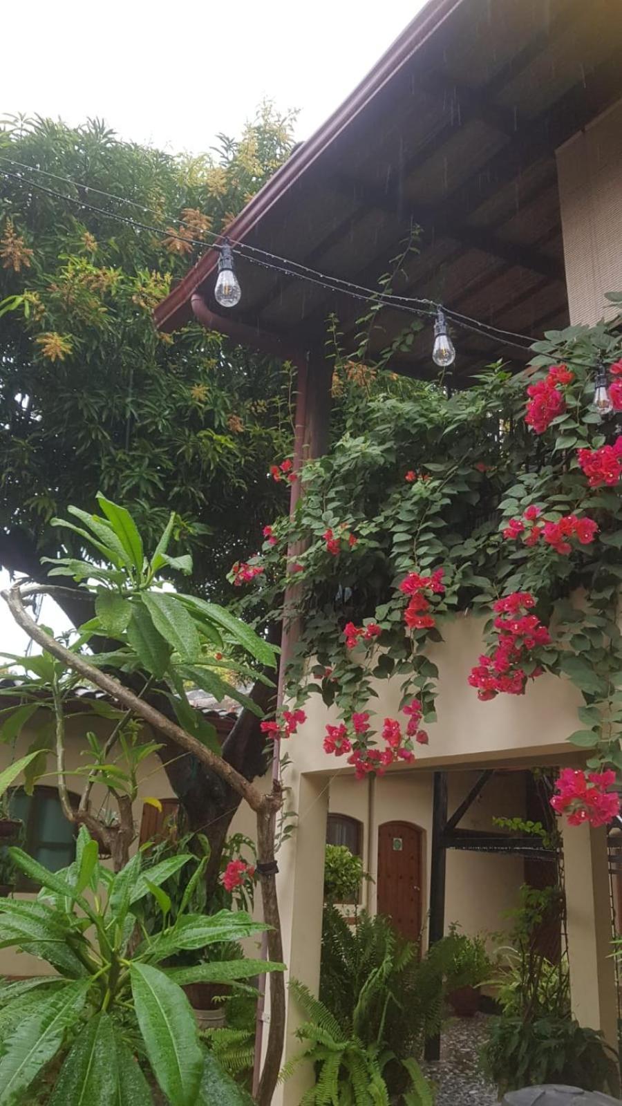 Casa Riverstone León Eksteriør billede